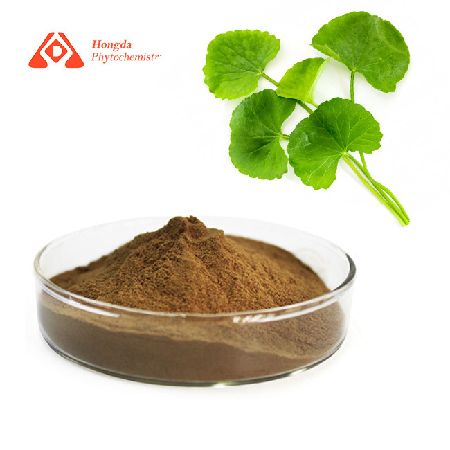Natural Centella Asiatica Extract 80 Mesh Organic Gotu Kola Powder