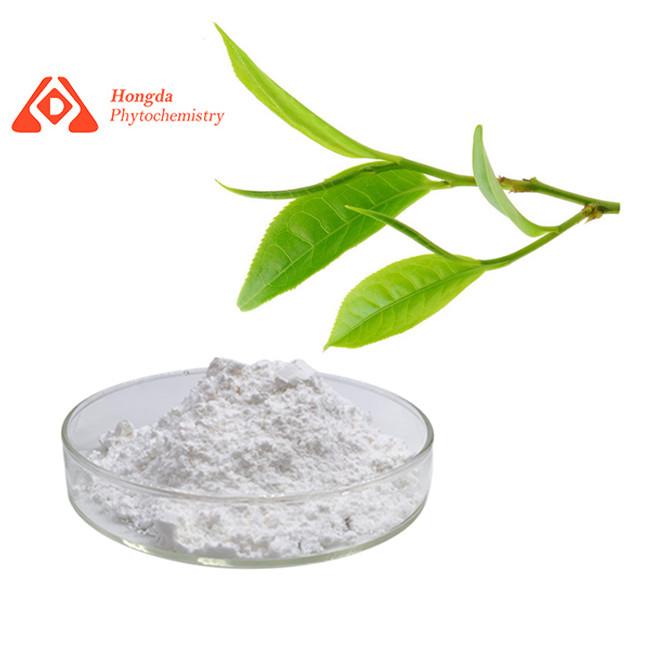Pure Anti Oxidant Ingredients Organic Green Tea Extract L Theanine Powder 98%