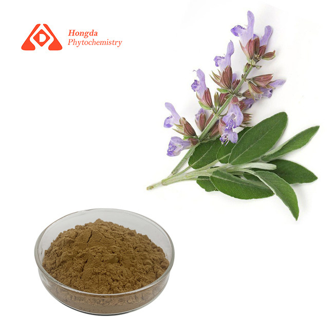Pure Organic Sage Salvia Officinalis Extract Powder Natural Antioxidant