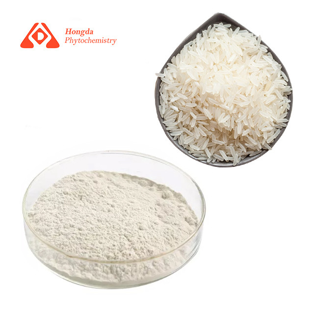 Food Grade Pure Plant Extract Natural Rice Protein Powder 80%