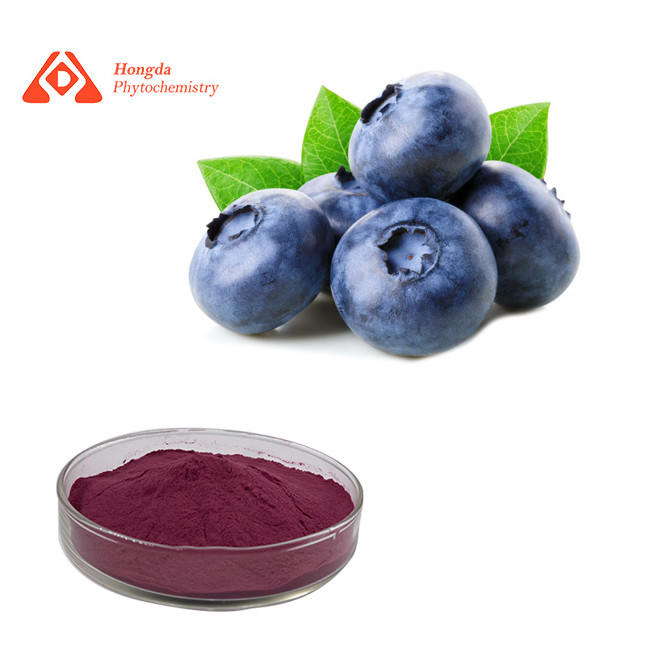 Natural Anti Oxidant Ingredients Blueberry Extract 25% Anthocyanin Powder