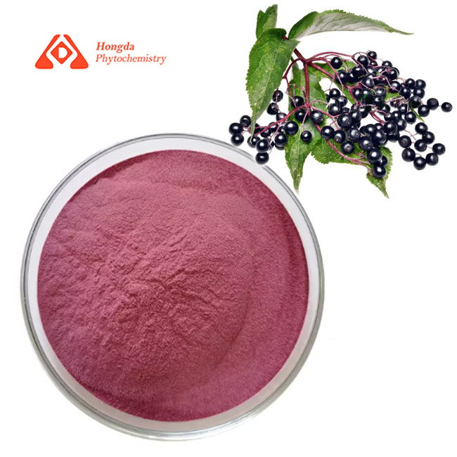 Food Grade Elderberry Powder Pure Sambucus Nigra Fruit Extract Natural Antioxidant