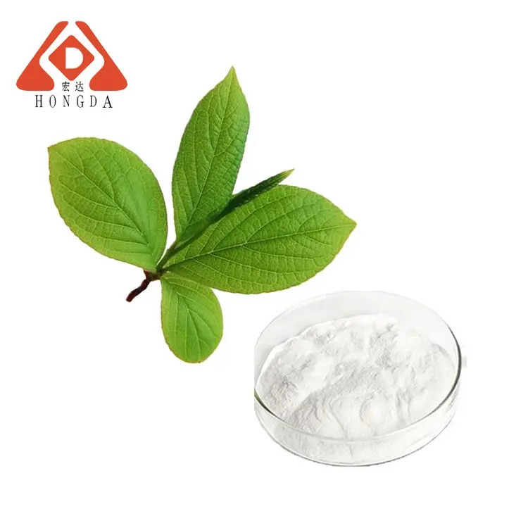 Plant Extract 98% Pure Alpha Arbutin Powder Skin Whitening
