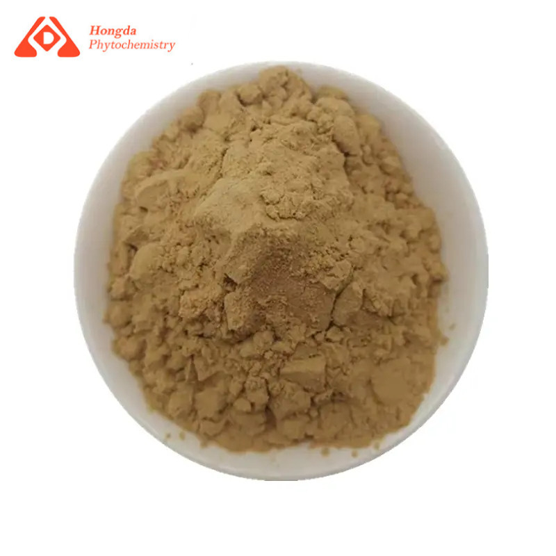 Organic Hesperidin Powder HPLC Tested CAS 520-26-3 For B2B Buyers