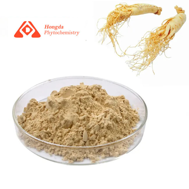 Anti Inflammatory Natural Ginseng Extract Powder 5% Moisture Form Powder