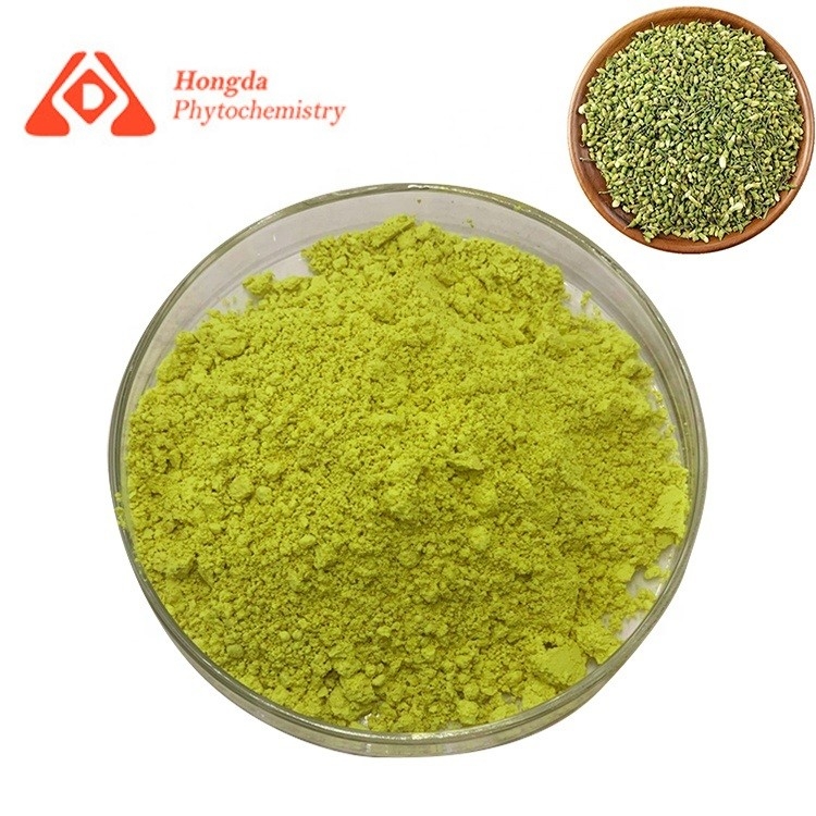 Yellow Quercetin High Purity Natural Plant Extracts Quercetin Powder Free Sample