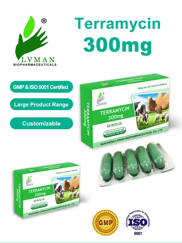 Antibacterial Veterinary Drug Florfenicol Injection For Cattle Sheep Goat