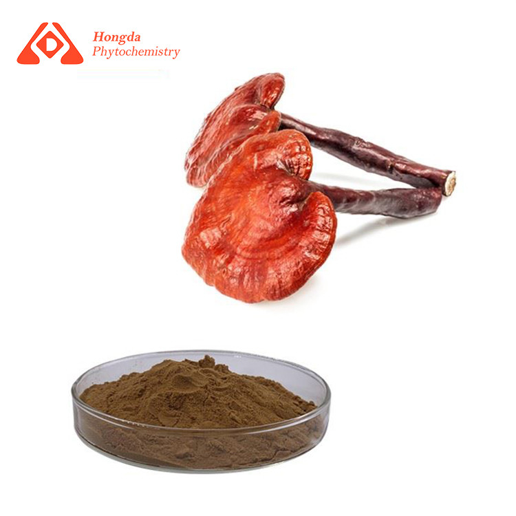 Pharmaceuticals Reishi Mushroom Extract Ganoderma Polysaccharides Powder