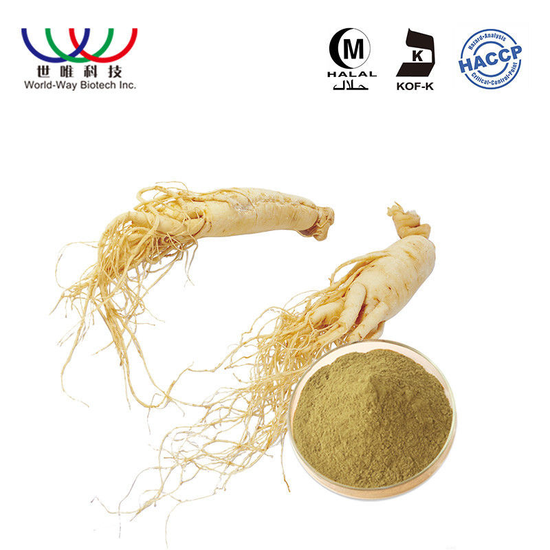 Organic Ginseng Root Extract Anti Aging Ingredients Boost Immune System