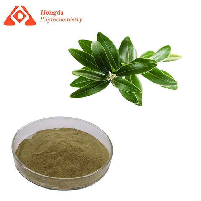 Oleuropein Pure Plant Extract CAS 32619-42-4 20% 40% Olive Leaf Extract Antiviral