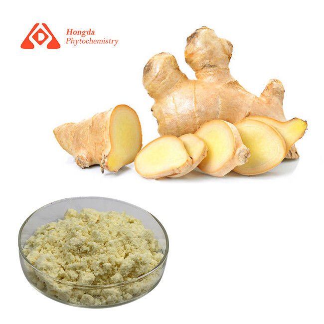 Water Soluble Ginger Extract Powder 5% Purity Gingerol HPLC
