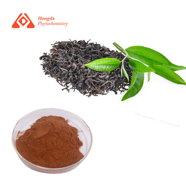 95%TP 98%TP Green Tea Extract Powder , Camellia Sinensis Leaf Powder