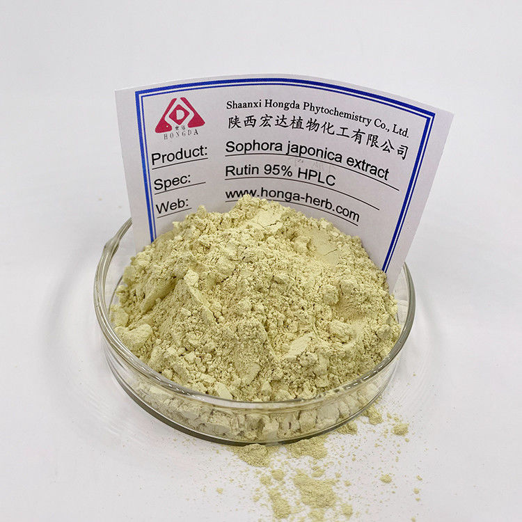 Sophora Japonica Extract Quercetin Powder Water Soluble Plastic Container