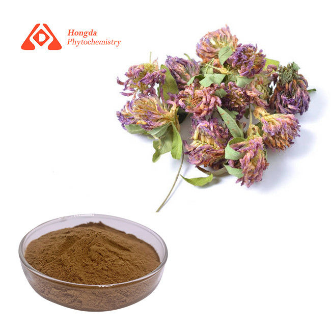 Red Clover Extract Red Clover P.E. Trifolium Pratense Extract 2%-45% Isoflavones