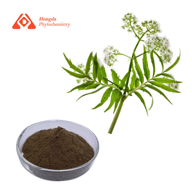 0.8% Pure Plant Extract CAS 109-52-4 Calming Valerian Extract Powder
