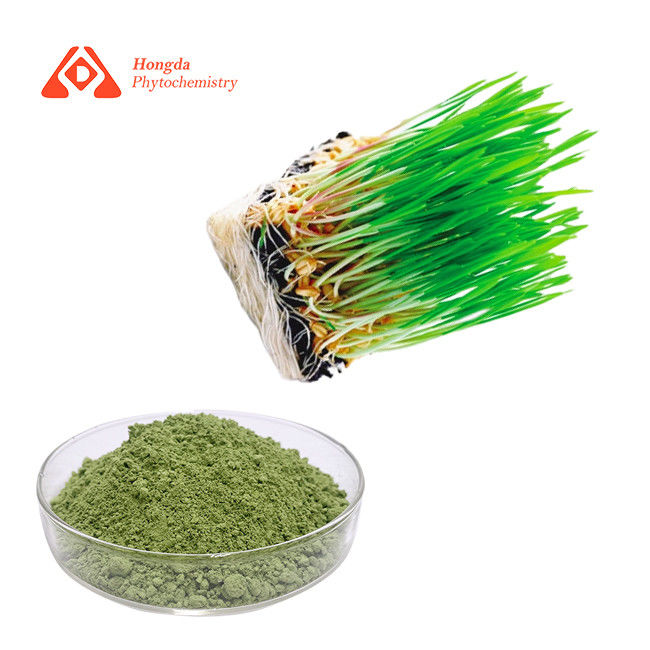 100% Pure Organic Green Barley Grass Powder 80mesh Sample Avaliable