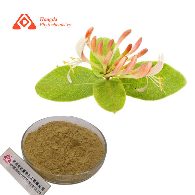Water Soluble Honey Suckle Extract CAS 327-97-9 Chlorogenic Acid Powder