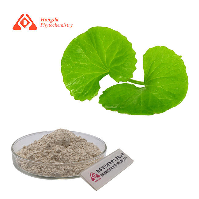 Gotu Kola Centella Asiatica Extract Powder 80% Total Triterpenes Anti Inflammatory