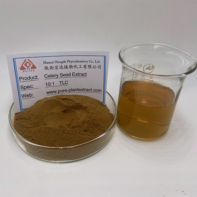 Brown Yellow Natural Plant Extract Apium Graveolens Celery Seeds Extract