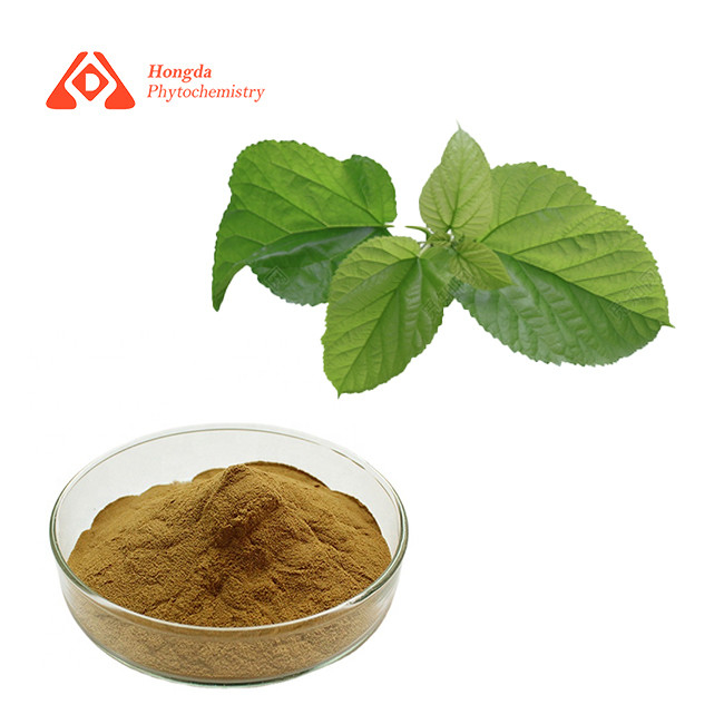 Organic Natural Mulberry Leaf Extract for Weight Loss 80 Mesh