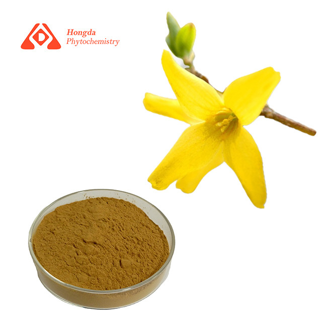 CAS 487-41-2 Natural Forsythia Suspensa Extract 10% Forsythin Brown Yellow Color