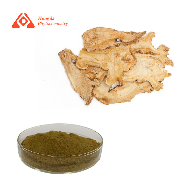 Angelica Natural Dong Quai Extract 80 Mesh Angelica Sinensis Extract