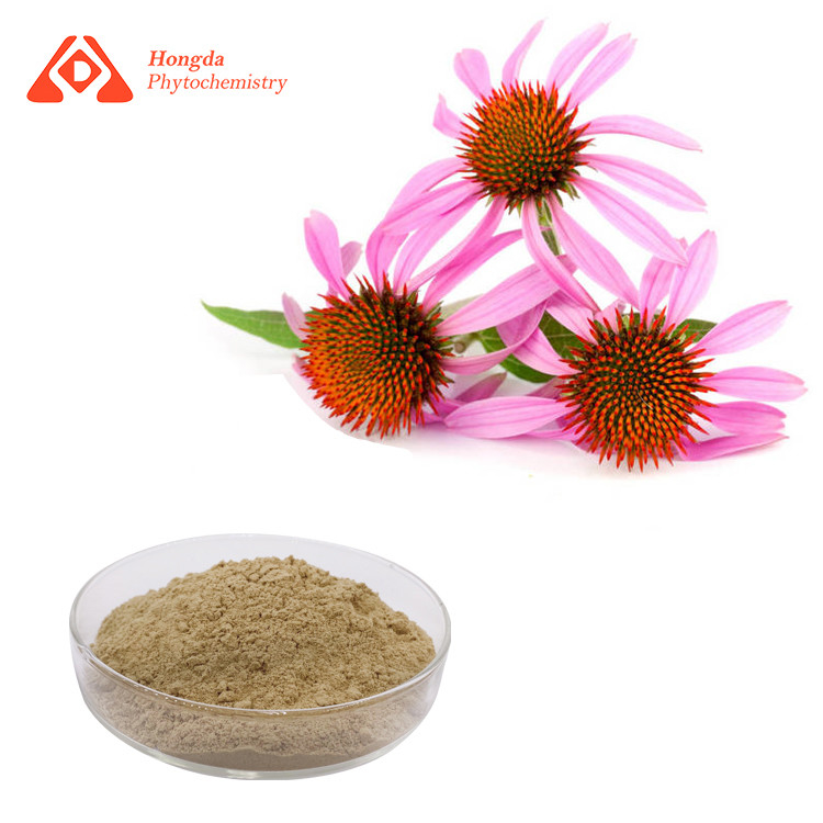 4% Polyphenol 80 Mesh Echinacea Purpurea Extract Powder Brown Yellow Powder