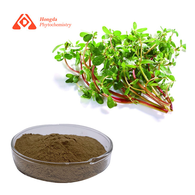 50% Bacopaside Pure Plant Extract Brown Yellow Bacopa Monnieri Extract
