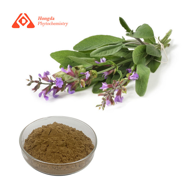 Antioxidant Salvia Officinalis Extract 15% Carnosic Acid CAS 3650-09-7