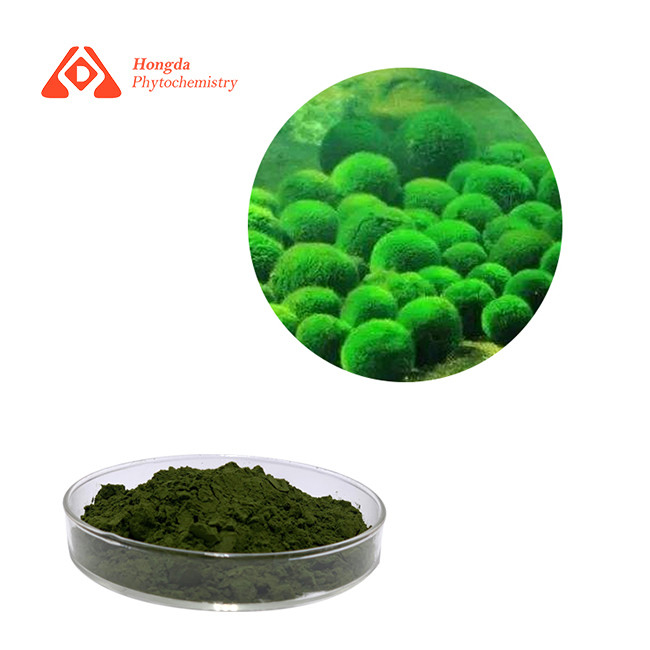 Dark Green 58% Protein Chlorella Powder Food Additives Chlorella Vulgaris Powder