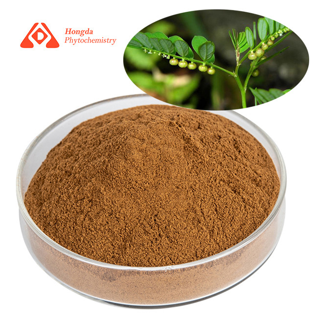 80 Mesh Yellow Brown Phyllanthus Urinaria Extract From Leaf Part