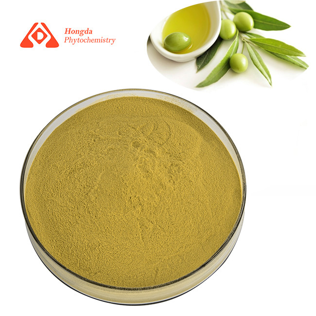 40% Oleuropein Pure Plant Extract CAS 32619-42-4 Olive Leaf Extract