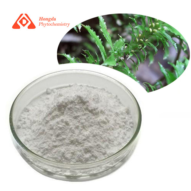 Huperzia Serrata Pure Plant Extract CAS 102518-79-6 Huperzine A Powder