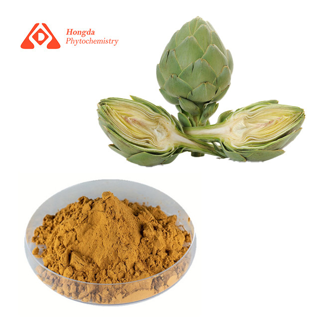 Organic Pure Plant Artichoke Extract Brown Yellow Cynara Scolymus Extract