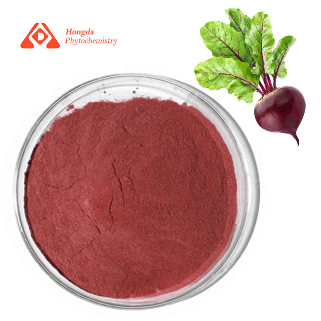 Pharmaceutical Pure Plant Extract Beet Root Extract 80 Mesh