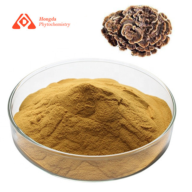 Organic Coriolus Versicolor Extract Anti Cancer Turkey Tail Extract Polysaccharide 30%