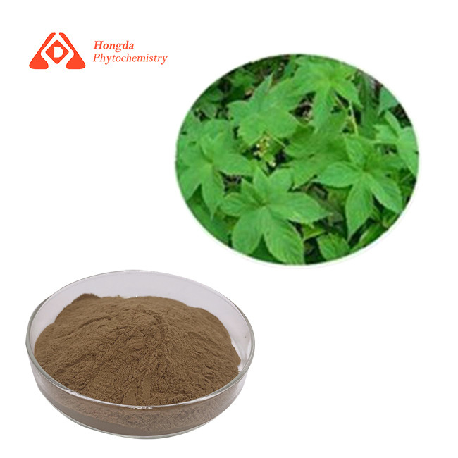 Pure Natural Herb Devil'S Claw Extract Harpagophytum Procumbens Extract