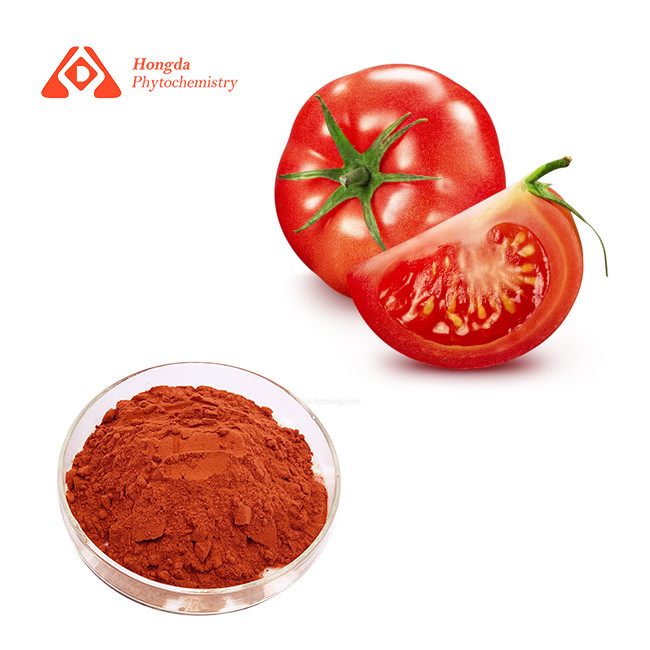 Natural Colorant Dried Tomato Powder Water Soluble 99% Purity