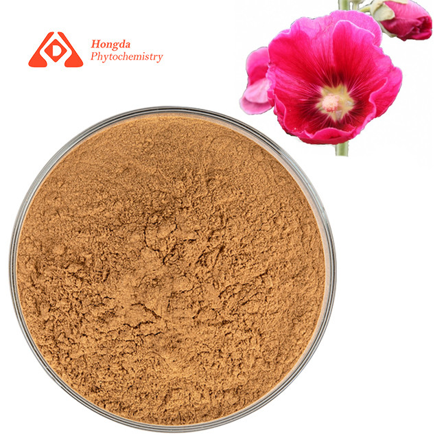 Pure Organic Natural Althaea Rosae Extract Hollyhock Extract Powder 80 Mesh