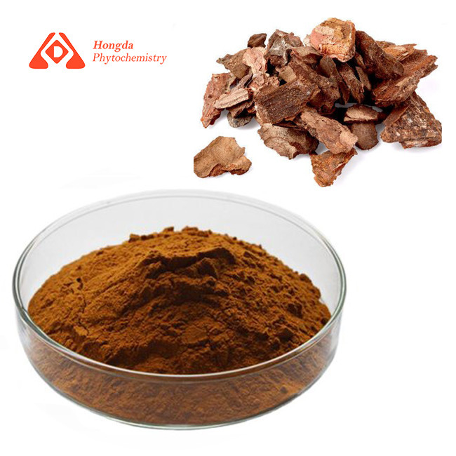 Pine Bark Extract Powder Proanthocyanidin 95% 100 Mesh
