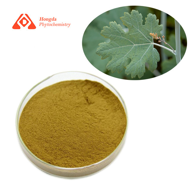 Macleaya Cordata Pure Natural Extract Powder 60% Alkaloids Feed Additives