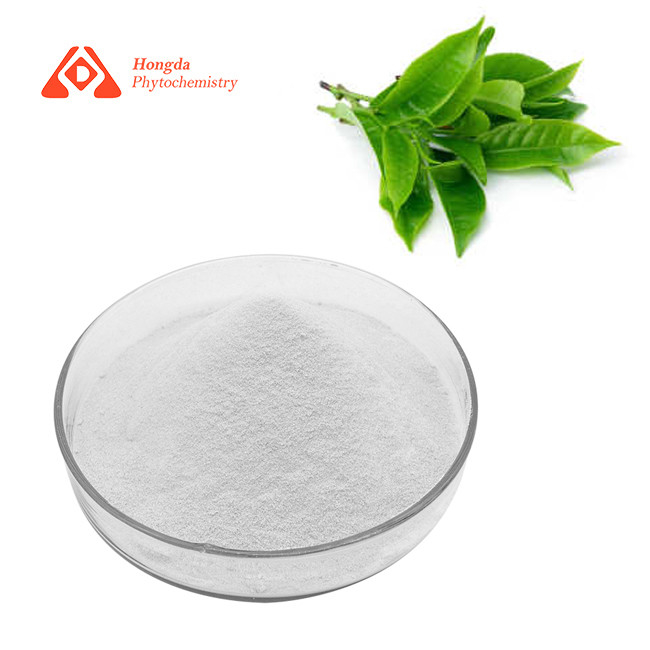 Organic Green Tea Extract Epigallocatechin Gallate EGCG 95%