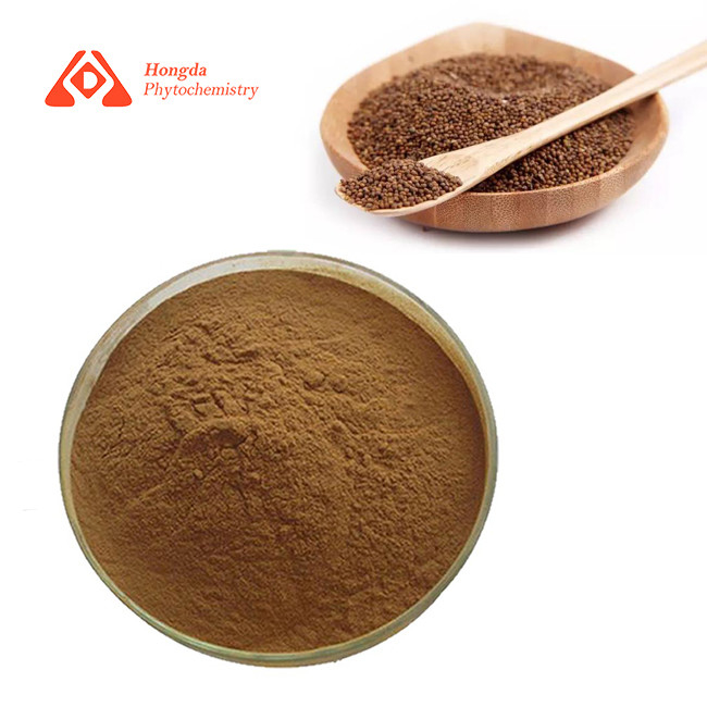 Pure Natural Hongda Phytochemistry Dodder Seed Extract Cuscuta Chinensis Extract