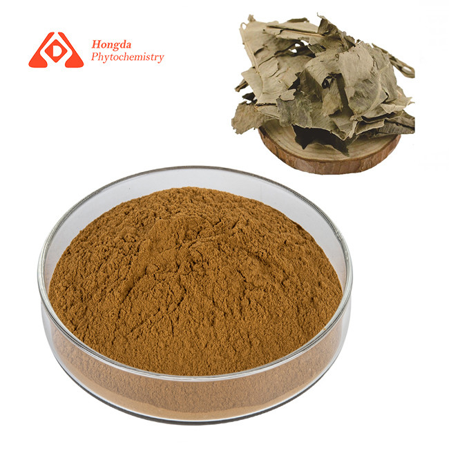 Improving Body Vitality Kacip Fatimah Extract Powder 80 Mesh Pure Herb