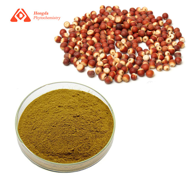 Anti Aging Pure Plant Extract Natural Gordon Euryale Powder For Healthcare