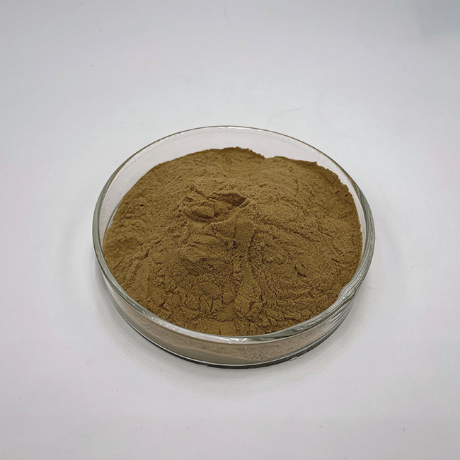 30% Polysaccharide Lions Mane Mushroom Powder Hericium Erinaceus Extract Powder