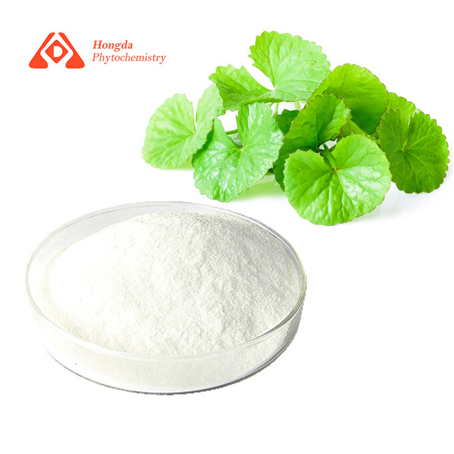HPLC Pure Gotu Kola Centella Asiatica Extract 90% Asiatic Acid For Skin Care