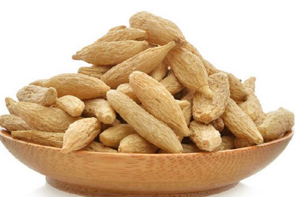 Ophiopogon Japonicus Ophiopogon Japonicus